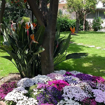 Ara Maris & 5* Península Sorrentina