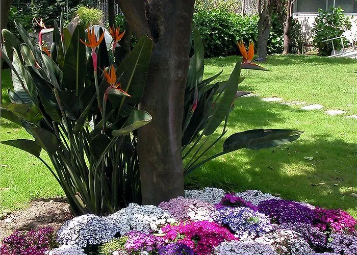 Ara Maris & 5* סורנטו