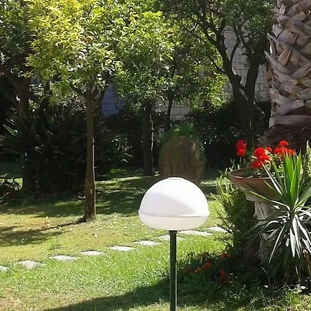 호텔 Ara Maris & 5*